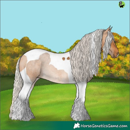 Horse Color:Silver Buckskin Tobiano 