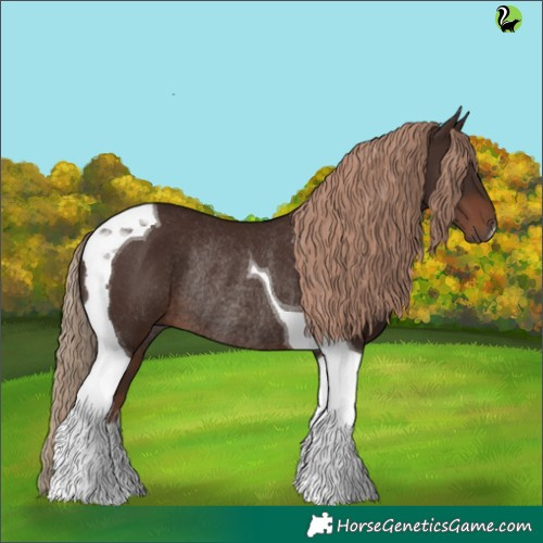 Horse Color:Liver Chestnut Tobiano Rabicano 