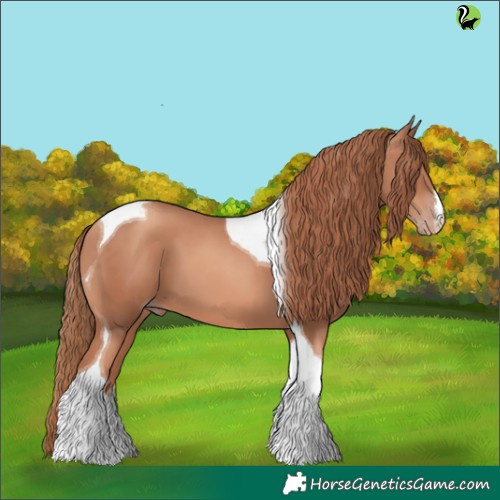 Horse Color:White Spotted Gold Champagne Tobiano 