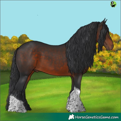 Horse Color:Brown Tobiano 