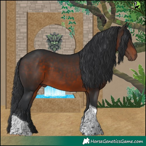Horse Color:Brown Tobiano 