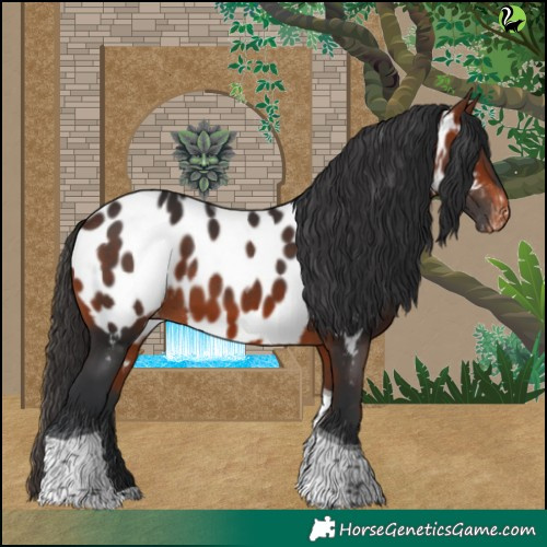 Horse Color:Brown Tobiano Near Leopard 