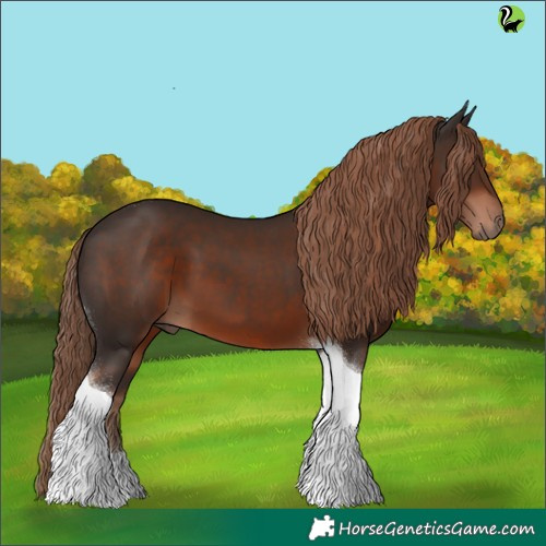 Horse Color:Liver Chestnut Tobiano 