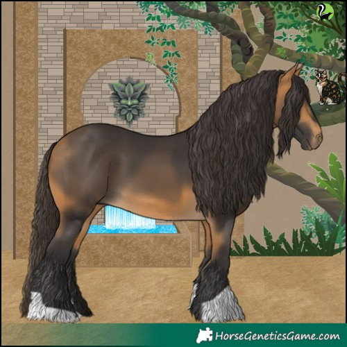 Horse Color:Buckskin 
