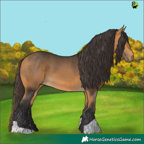 Horse Color:Buckskin 