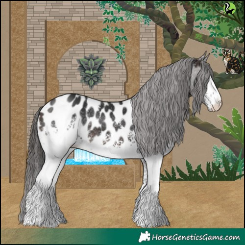 Horse Color:White Spotted Brown Near Leopard 
