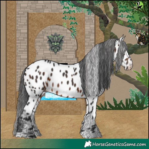 Horse Color:Brown Near Leopard 