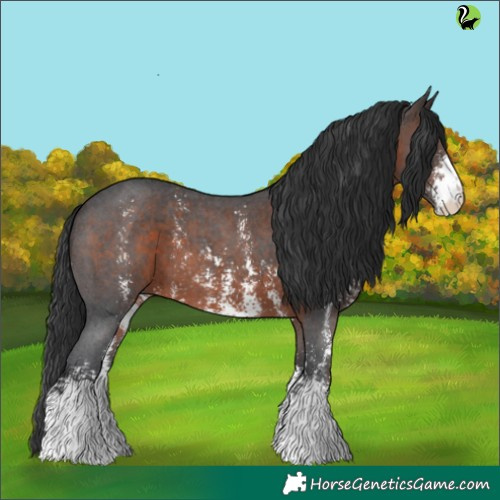 Horse Color:Brown Sabino 