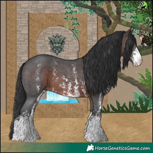 Horse Color:Brown Sabino 