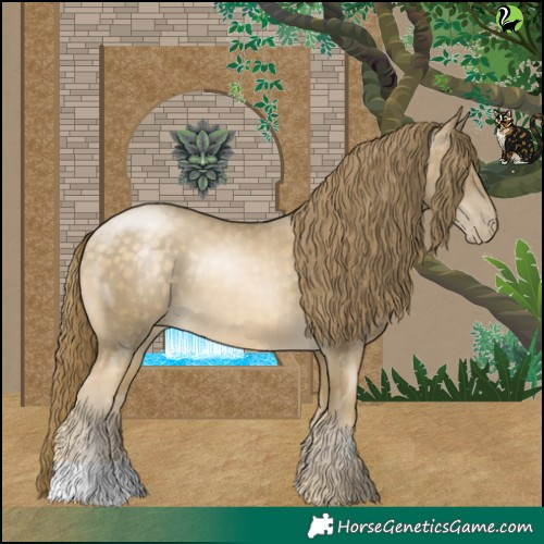 Horse Color:Buckskin Pearl 