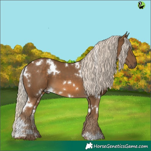 Horse Color:White Spotted Chocolate Palomino 