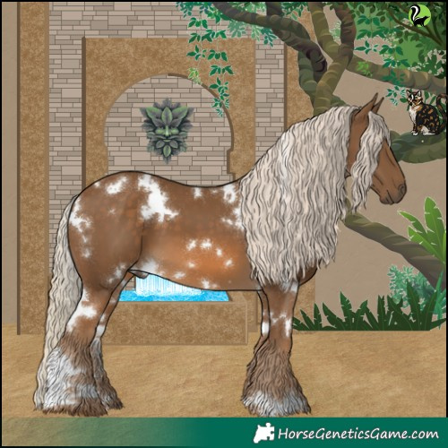 Horse Color:White Spotted Chocolate Palomino 