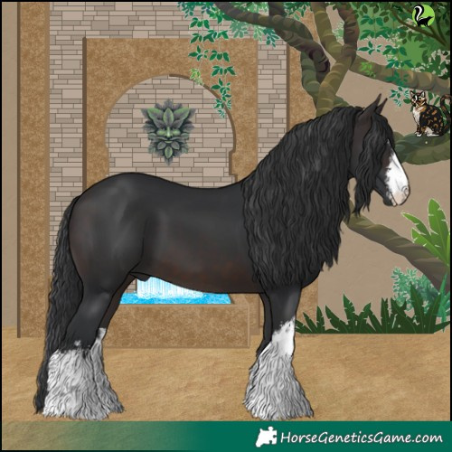Horse Color:White Spotted Brown 