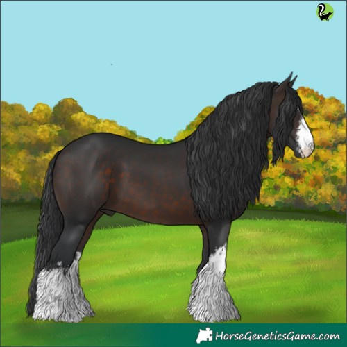 Horse Color:White Spotted Brown 