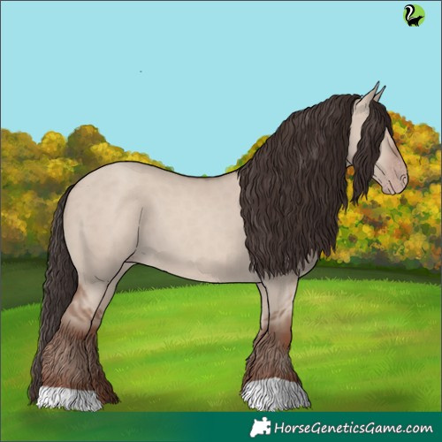 Horse Color:Classic Champagne Dun 