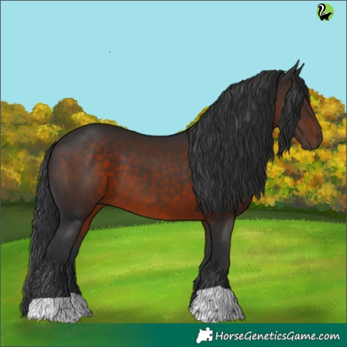 Horse Color:Brown 