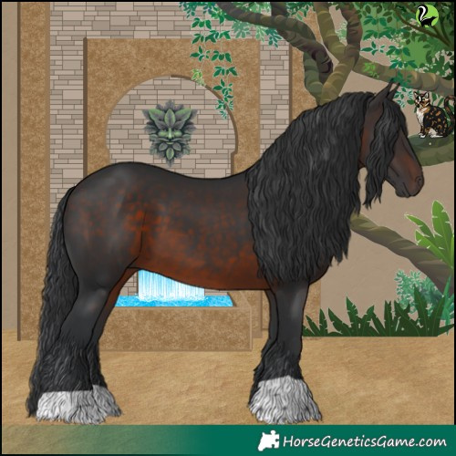 Horse Color:Brown 