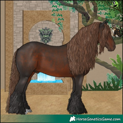 Horse Color:Liver Chestnut 