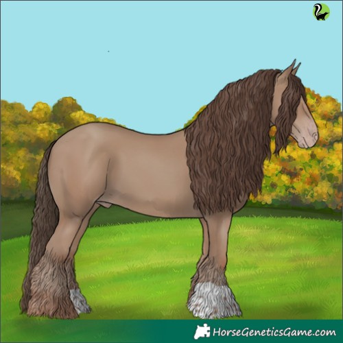 Horse Color:Classic Champagne 