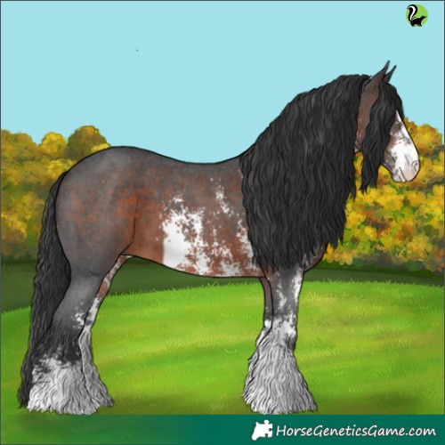 Horse Color:Brown Sabino 