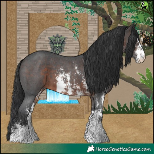 Horse Color:Brown Sabino 