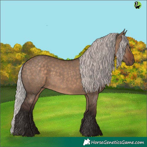 Horse Color:Silver Brown Dun 