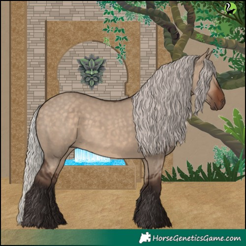 Horse Color:Silver Brown Dun 