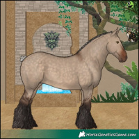 Horse Color:Silver Brown Dun 
