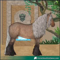 Horse Color:Silver Brown Dun 