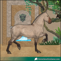 Horse Color:Silver Brown Dun