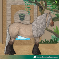 Horse Color:Silver Brown Dun