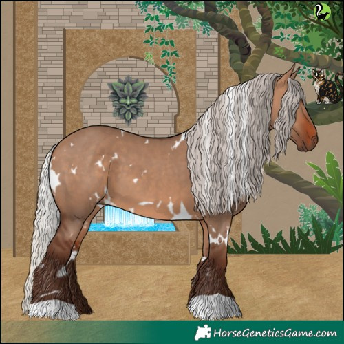 Horse Color:White Spotted Silver Brown Dun 