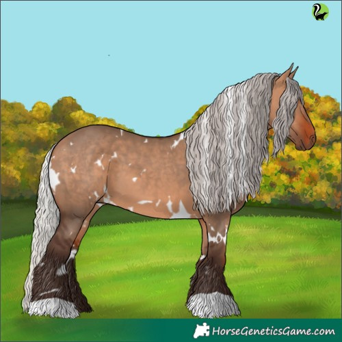Horse Color:White Spotted Silver Brown Dun 