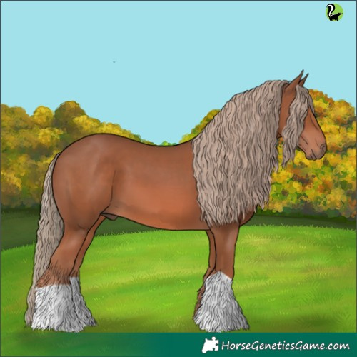 Horse Color:Chestnut 