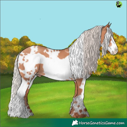 Horse Color:White Spotted Silver Sable Champagne Frame 