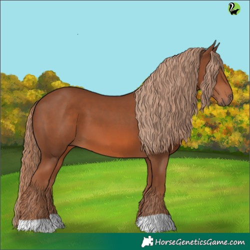 Horse Color:Chestnut 