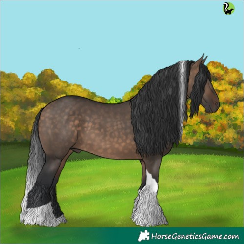 Horse Color:Brown Dun Tobiano 