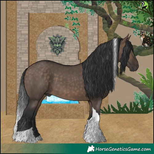 Horse Color:Brown Dun Tobiano 