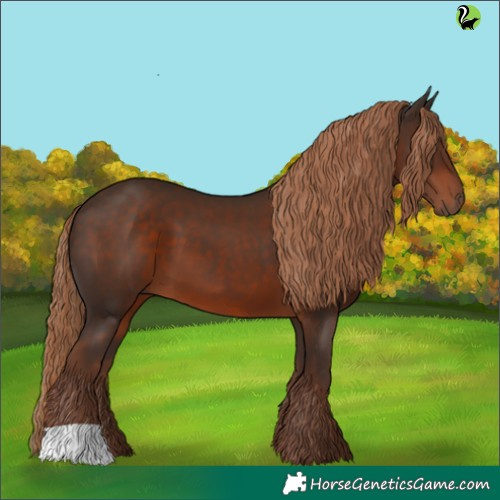 Horse Color:Liver Chestnut 