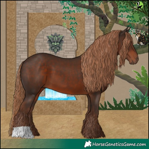 Horse Color:Liver Chestnut 