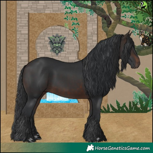 Horse Color:Brown 