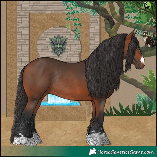 Horse Color:Bay Rabicano 