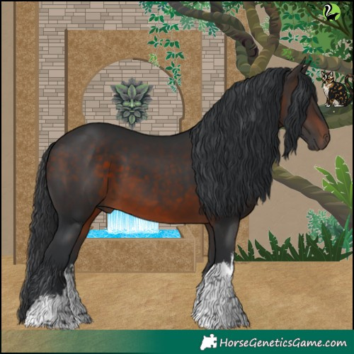 Horse Color:White Spotted Brown 