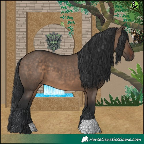 Horse Color:Brown Dun 