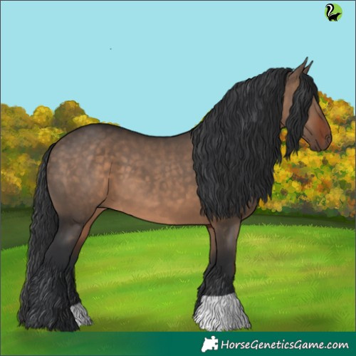 Horse Color:Brown Dun 