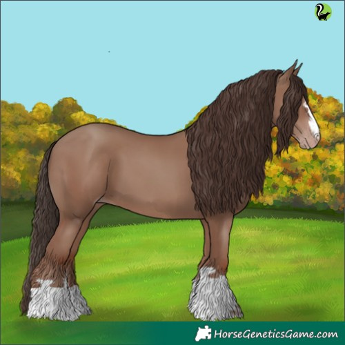 Horse Color:Classic Champagne 