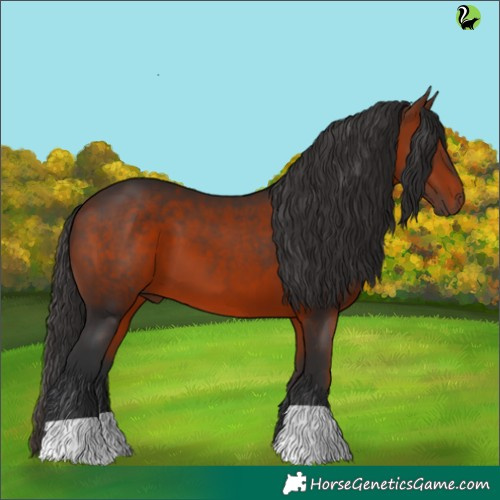 Horse Color:Brown 