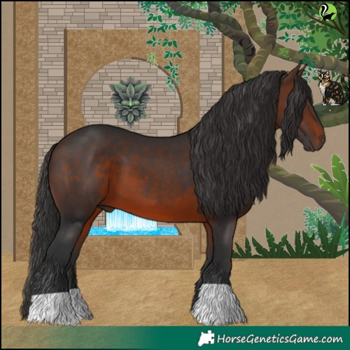 Horse Color:Brown 