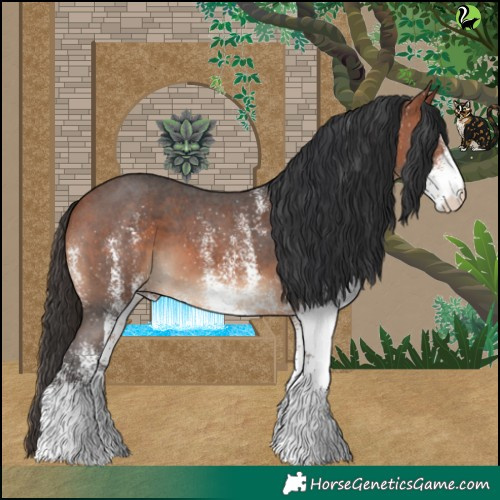 Horse Color:White Spotted Bay 