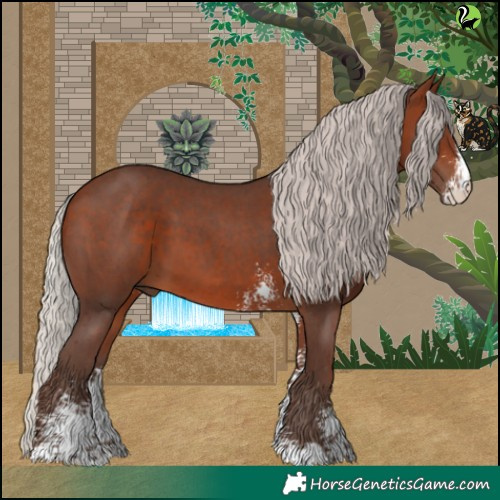 Horse Color:Silver Brown Sabino 